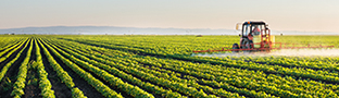 Agricultura, Floresta e Pescas