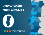 SUMMARY TABLE CENSUS 2021