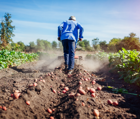 Zero Hunger